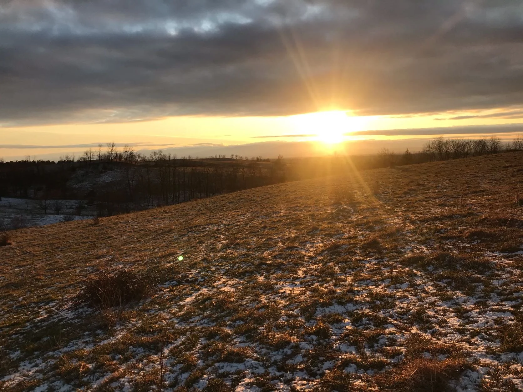 Year in Review: Hope-Fullness ❄