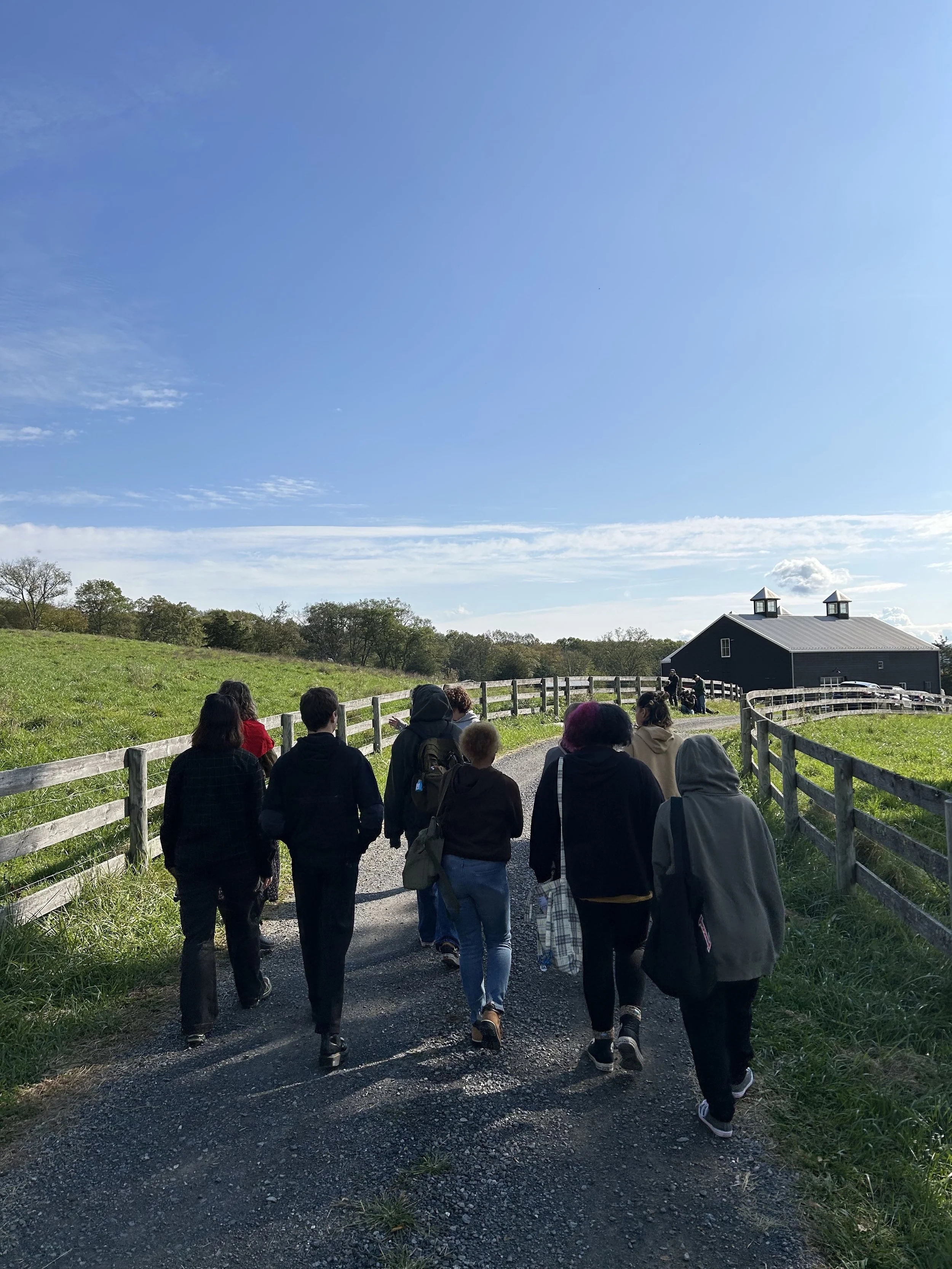 Into the Swing of Things 💫