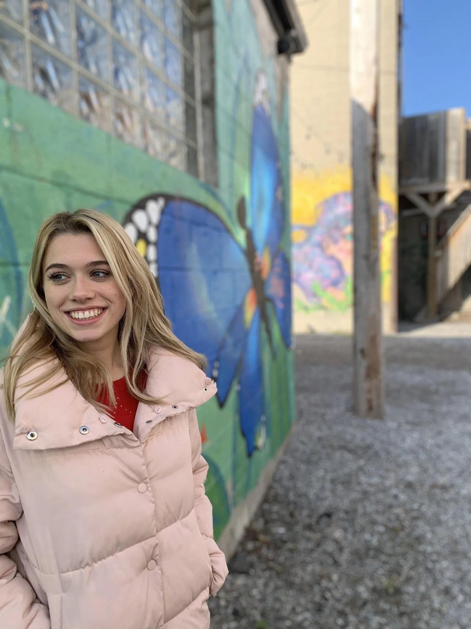 The Impact of COVID-19 on High School Students