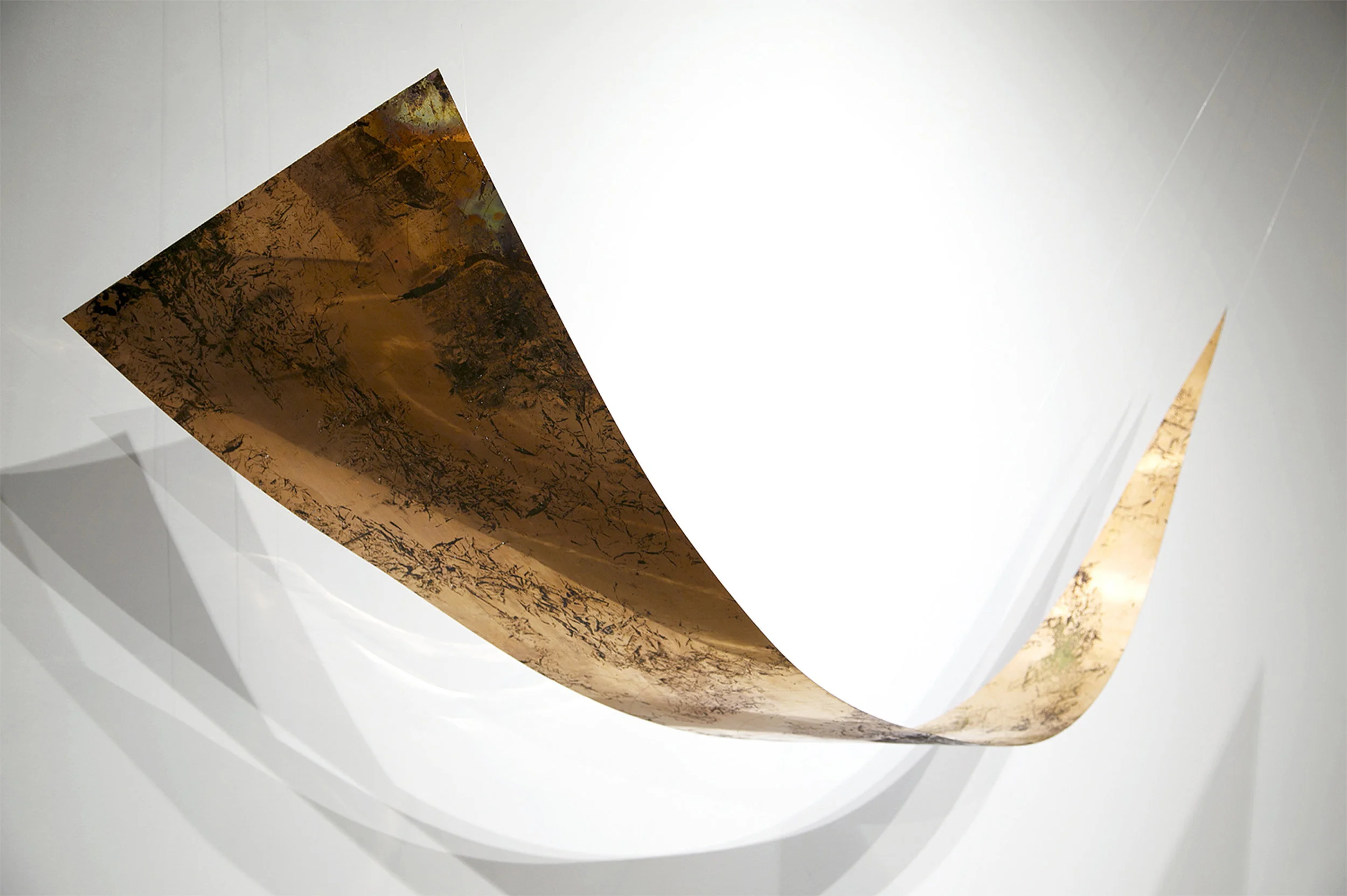 Points of Impact_website.jpg