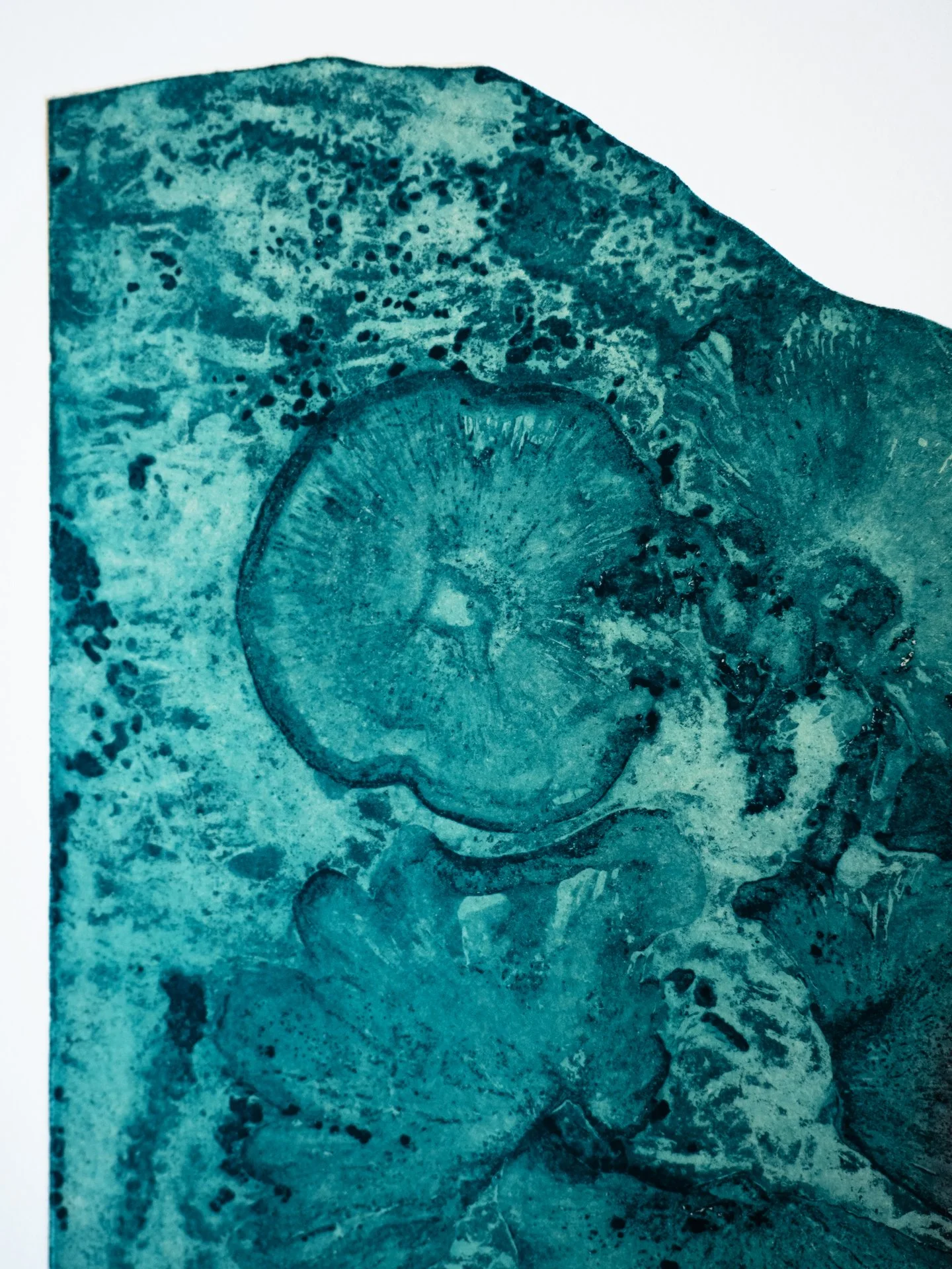 LookBelow_01_Closeup2.jpg