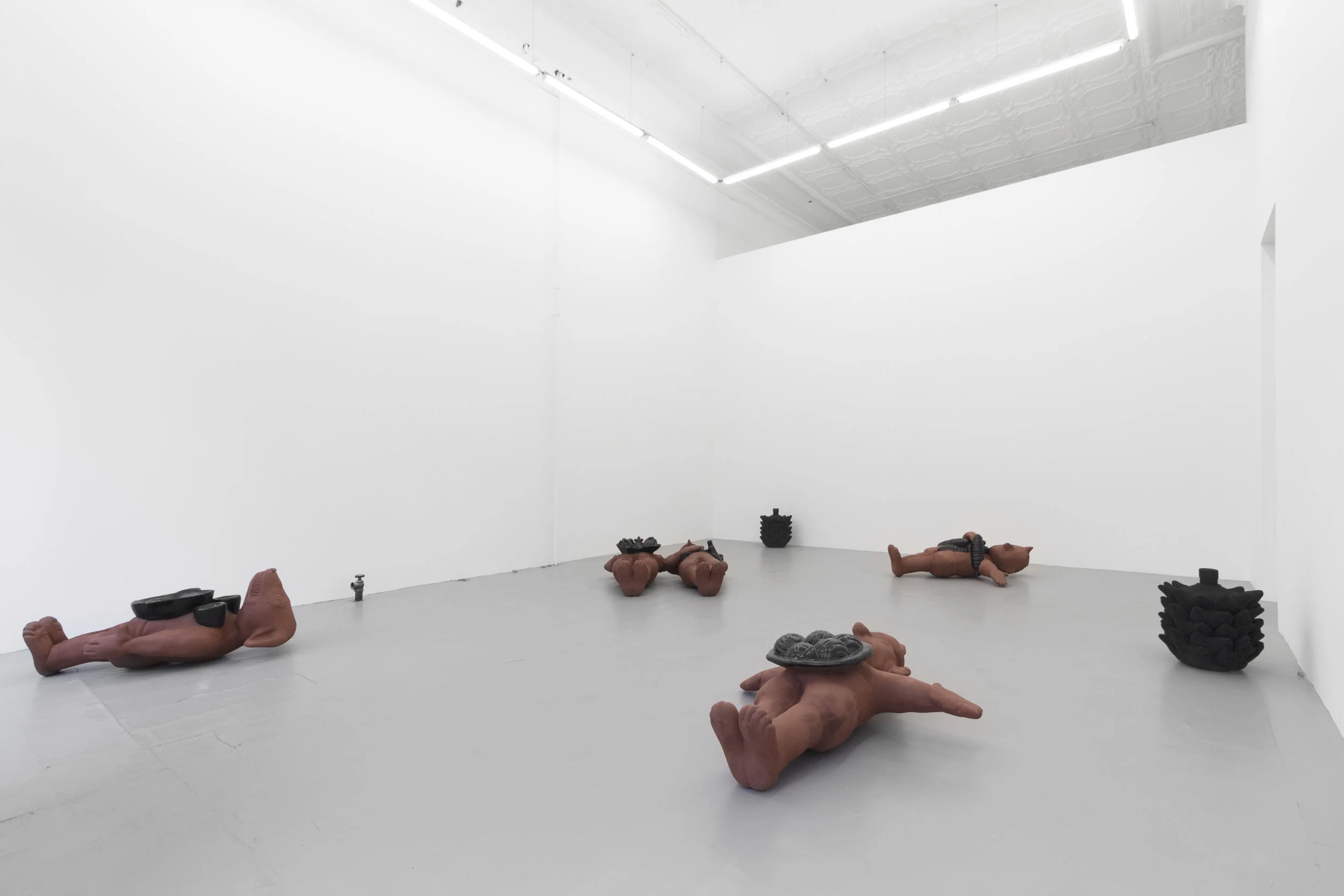 Reclinados; Installation View, 2019
