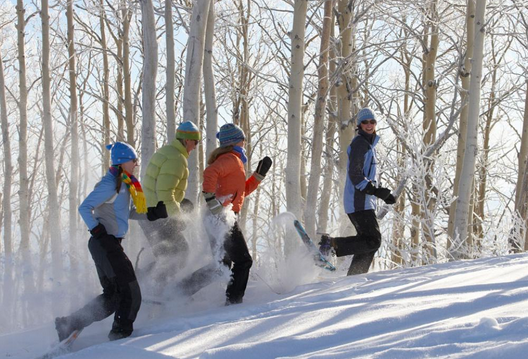 SnowShoeWentworth.png
