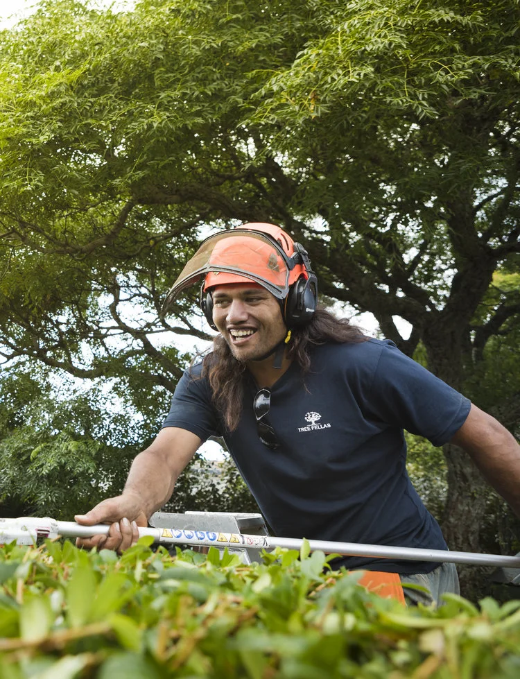 Hedge-Trimming-TreeFellas.jpg