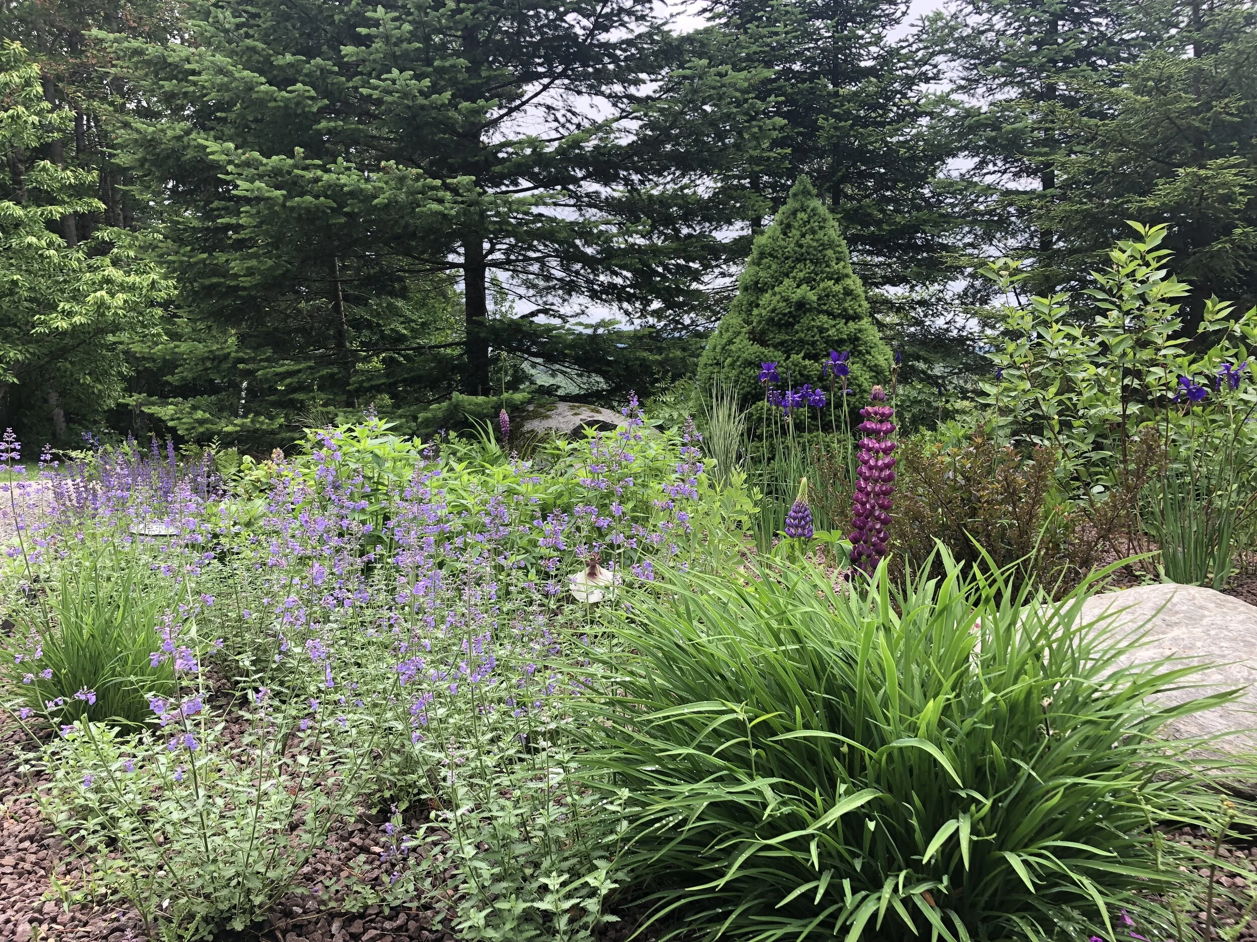 Lakeview Landscapes, LLC