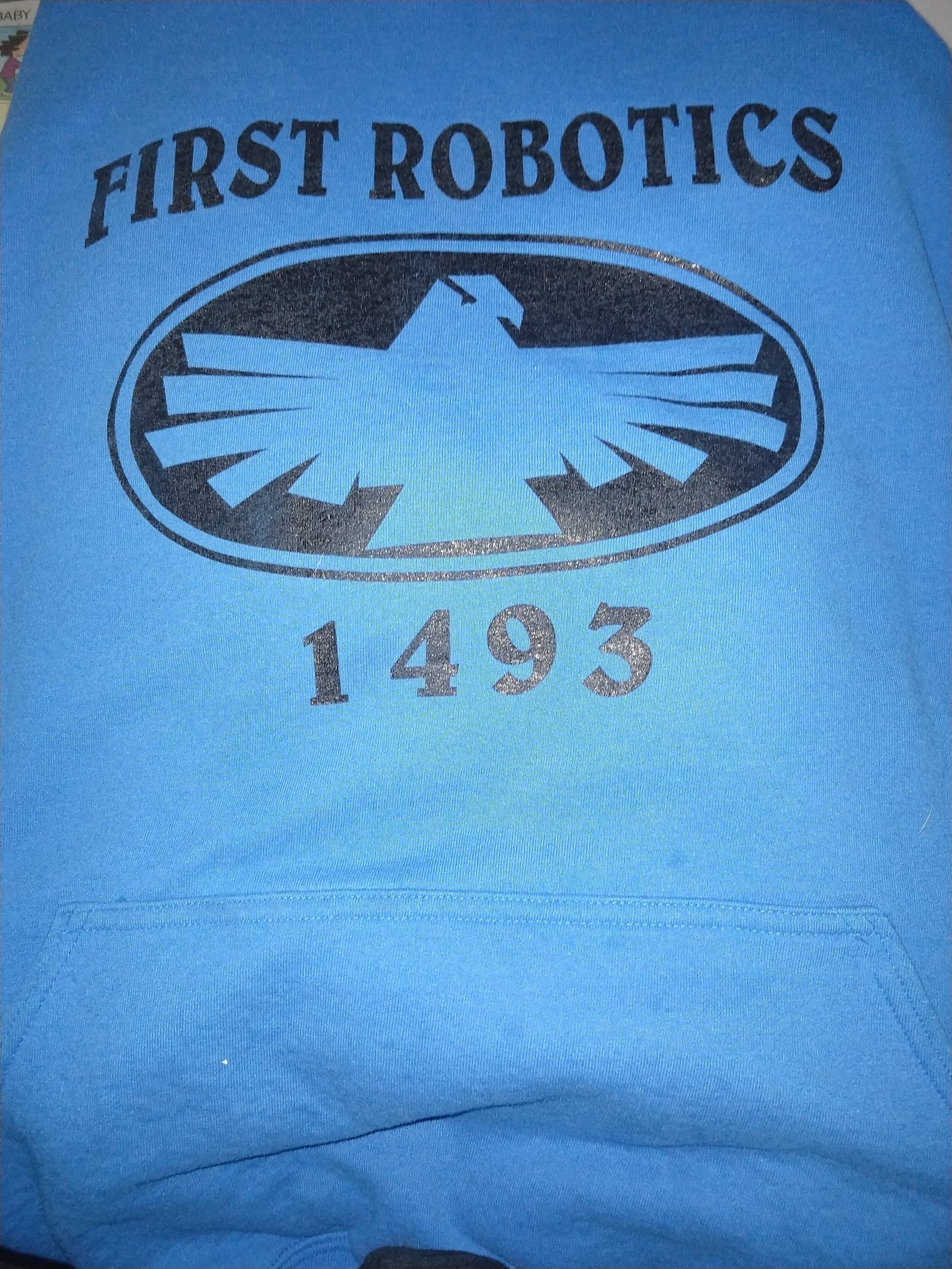 Team 1493 Hoodie