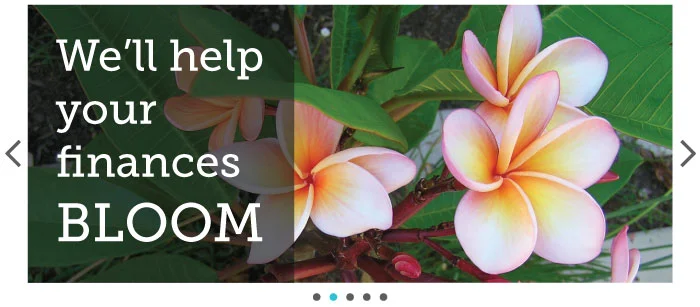 Well-help-your-finances-bloom.jpg