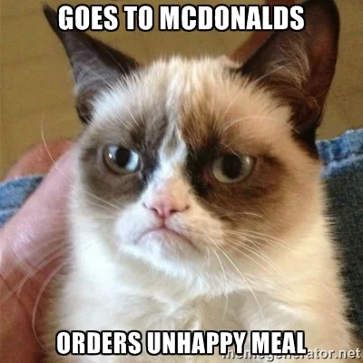 Grumpy-cat-meme.jpg