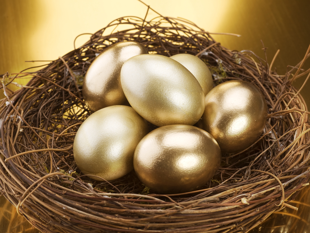 Retirement nest egg