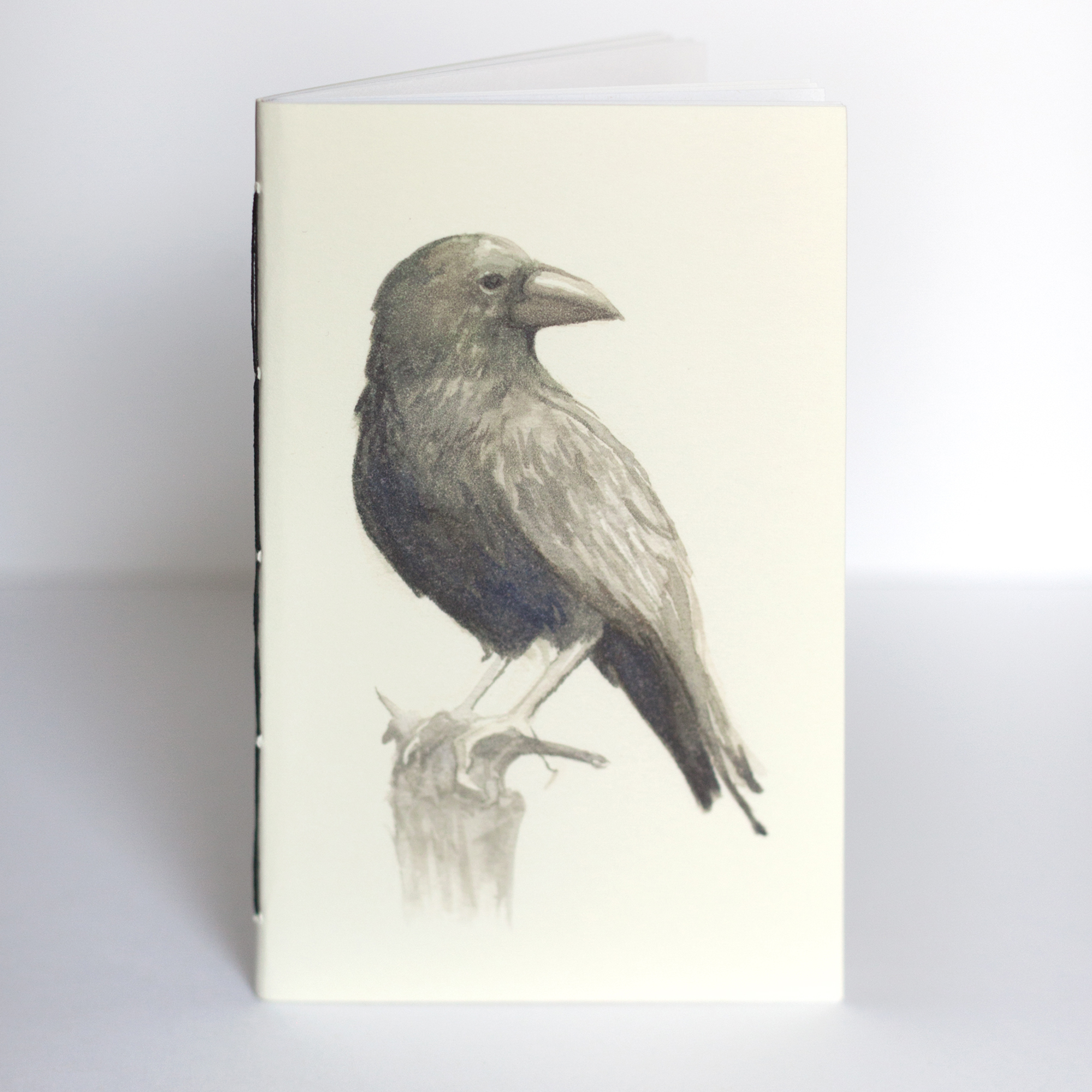 Raven Pocket Journal