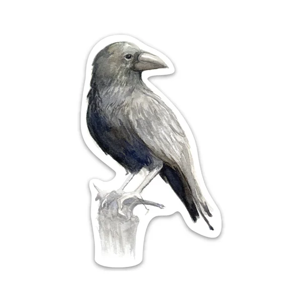 Raven copy.jpg
