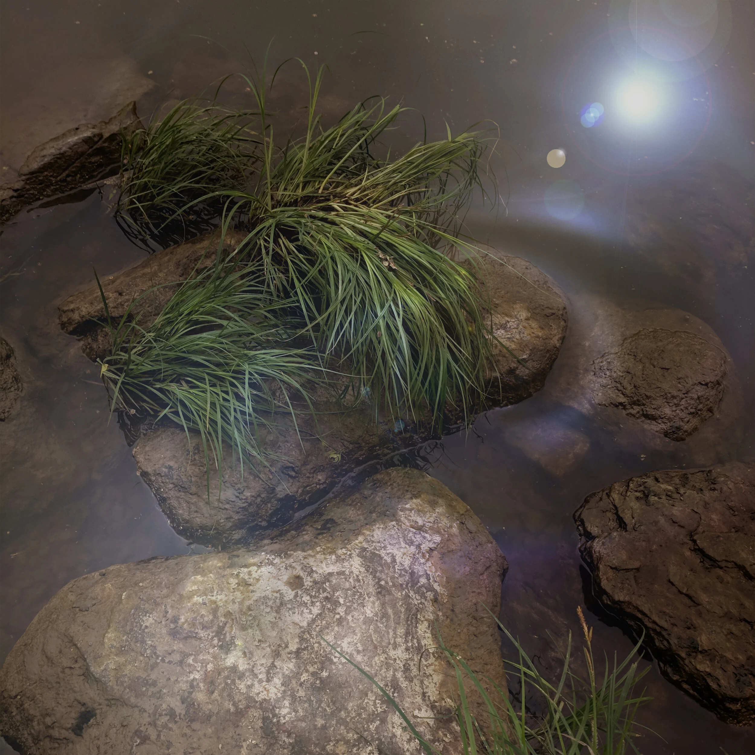 Ropes To Eternity Lead Nowhere Cover for Sprælle's 20 Minute Track