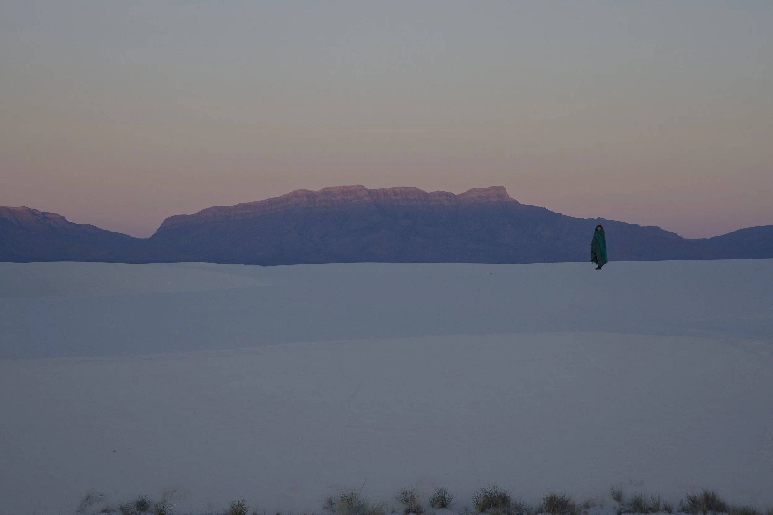 jade WS1_reexport.jpg