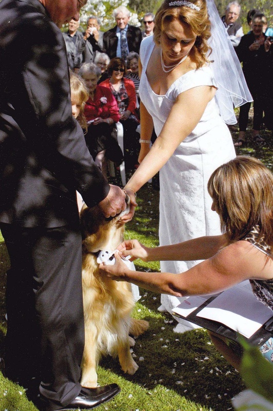 Dog Ring Bearer