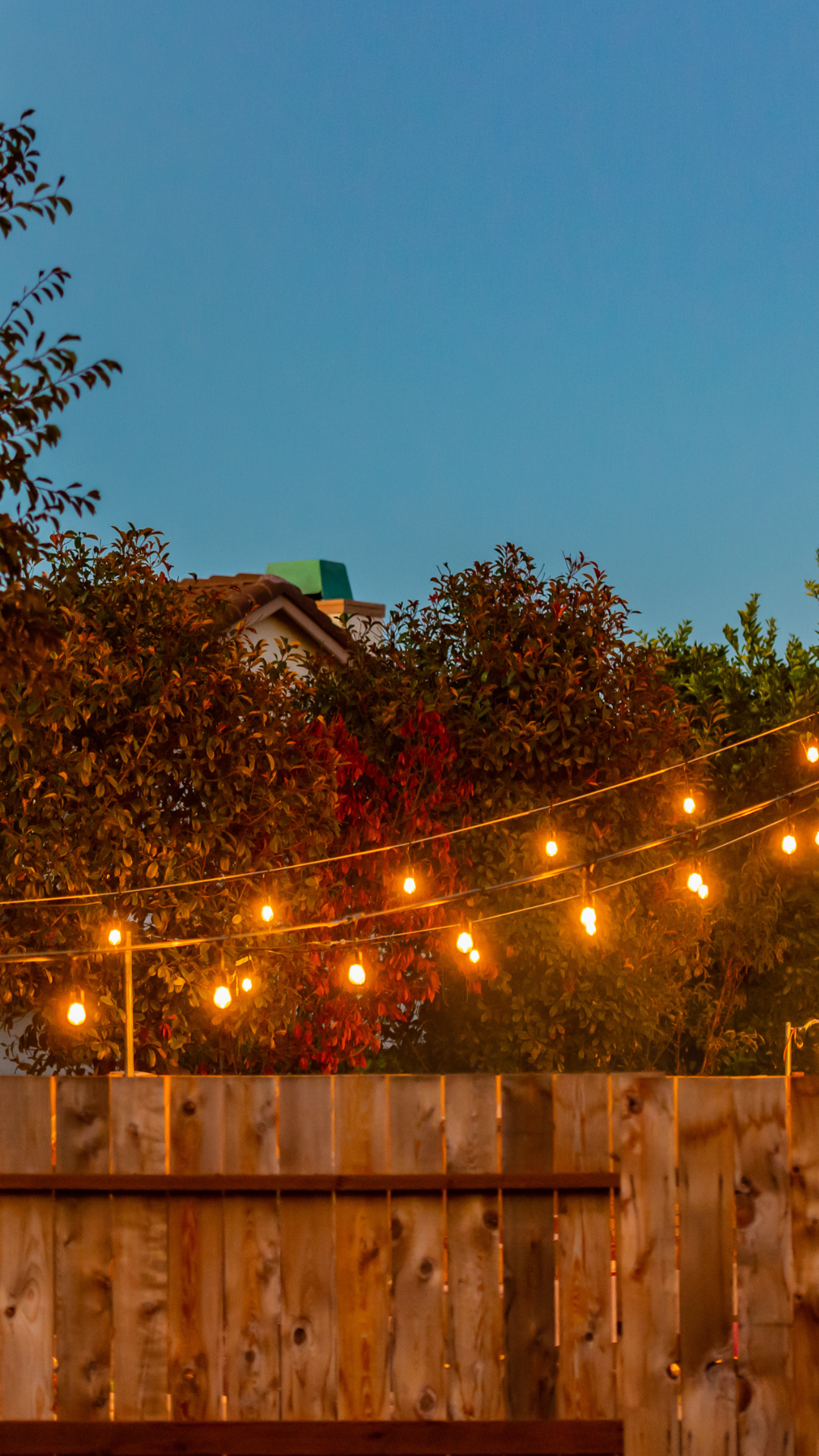 Outdoor wooden fence with string lights under a blue sky, surrounded by trees.