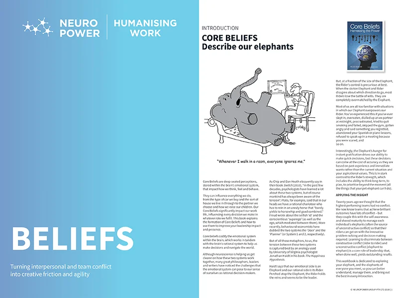 NPG_workbooks- Beliefs .jpg