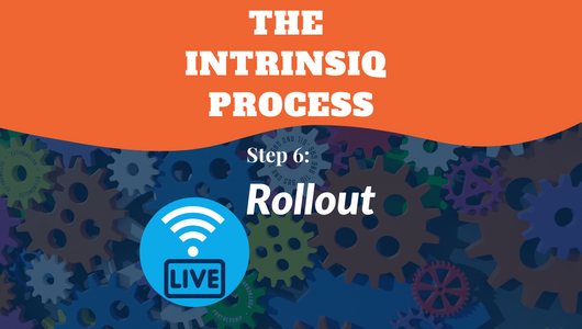 The Intrinsiq Process: Stage 6 - Roll Out