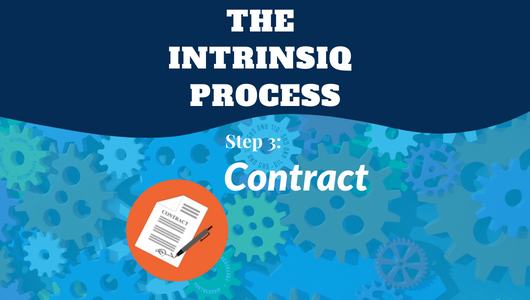 The Intrinsiq Process: The Contract