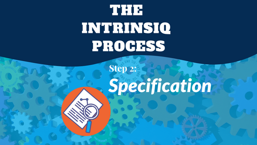 The Intrinsiq Process: Specification