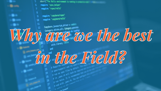 Intrinsiq Support: Why are we the best in the field