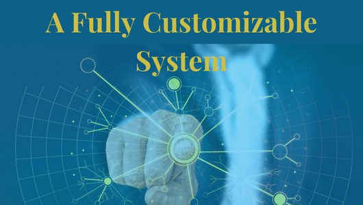 Intrinsiq Support - A fully customisable system!