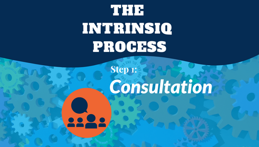 The Intrinsiq Process: Consultation