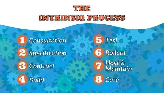 The Intrinsiq Process: All the steps of the Intrinsiq Process