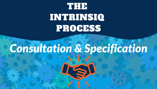 The Intrinsiq Process: Consultation and Specification