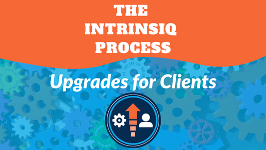 The Intrinsiq Process: Working on upgrades for clients