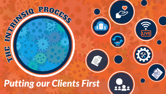 The Intrinsiq Process: Let’s take a look at the whole process