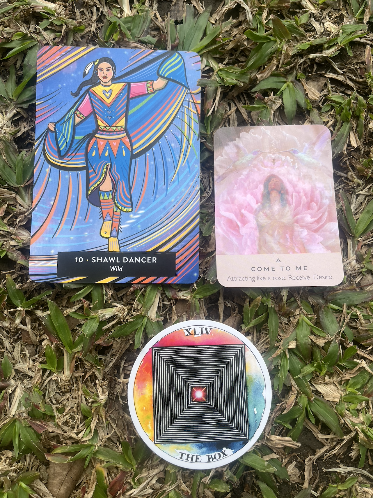 Screenshot 2026-01-17 at 7.44.27 AM.png