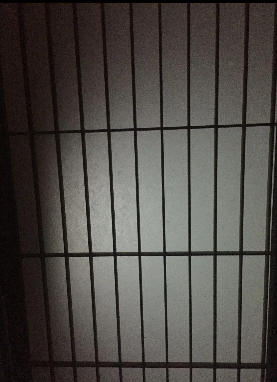 IMG_1290.jpeg