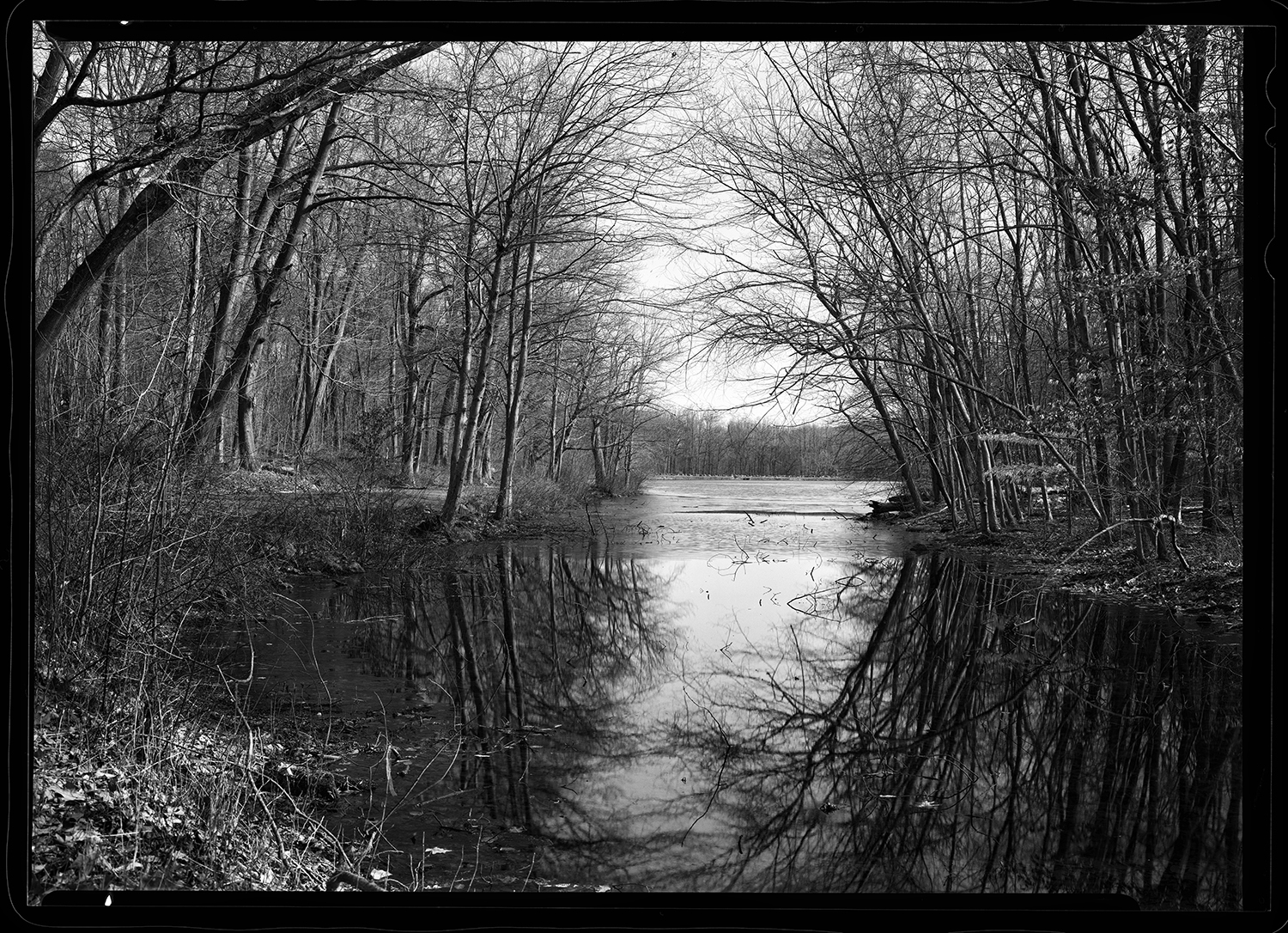 20180319_Rockefeller_Park_HP5_WET_2_RGB_Sharp.jpg