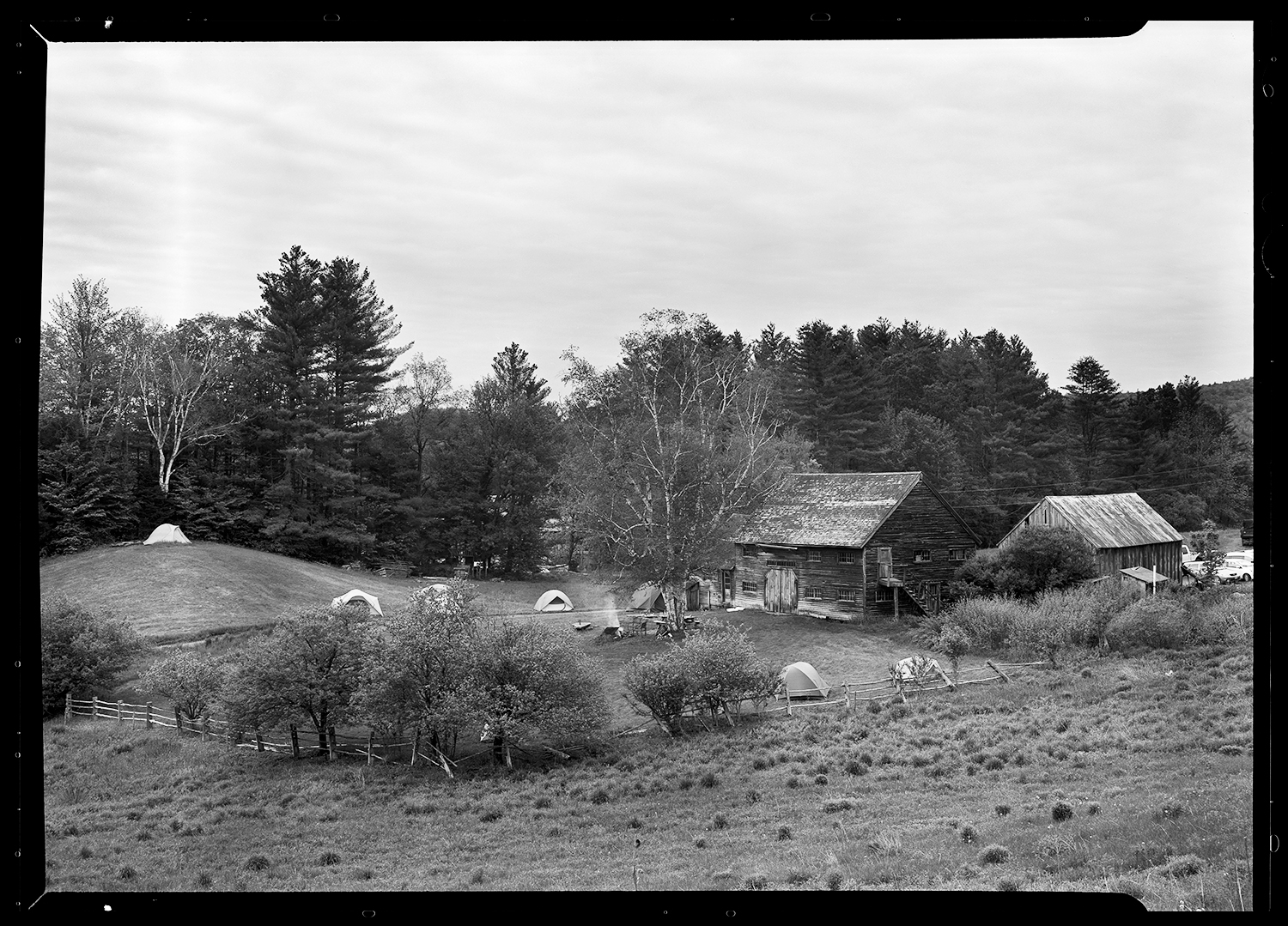 Rafters_FP4_Wet_2.2_RGB_print.jpg