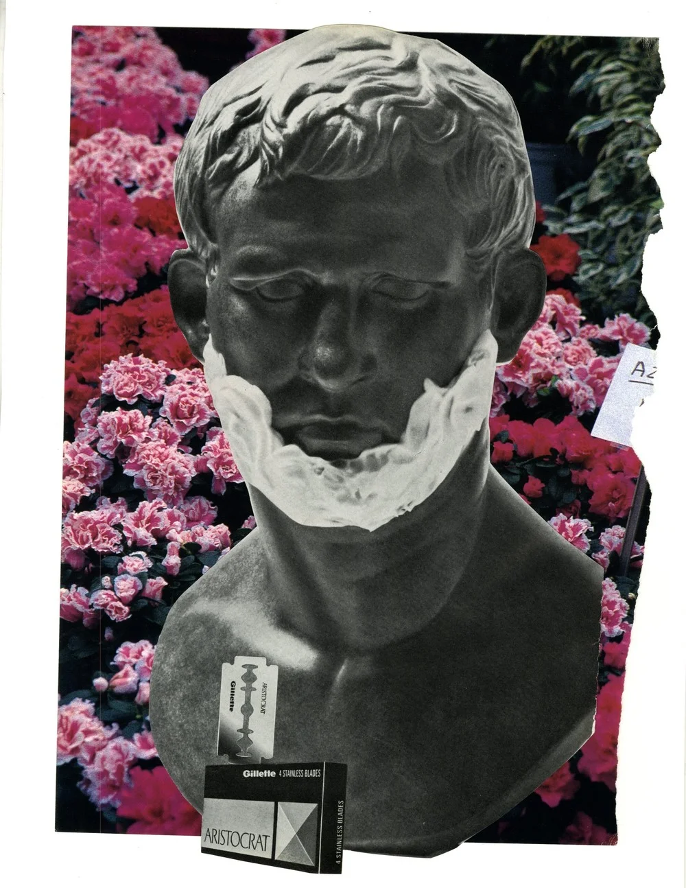 Jordan, 2016