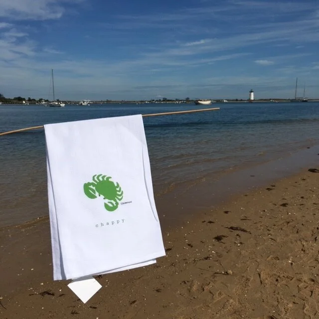 chappytowelbeach.JPG