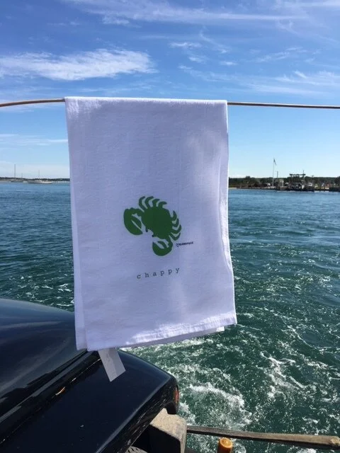 chappytowelonferry.JPG