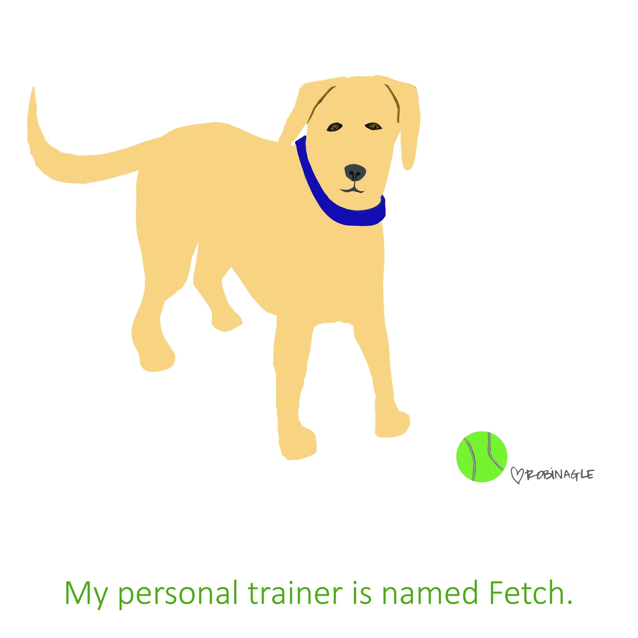 216_Yellowlab Fetch.jpg