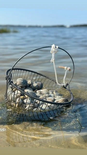 D3F376F1-1770-4A57-90BE-D43AE5E01A63 (2).JPG