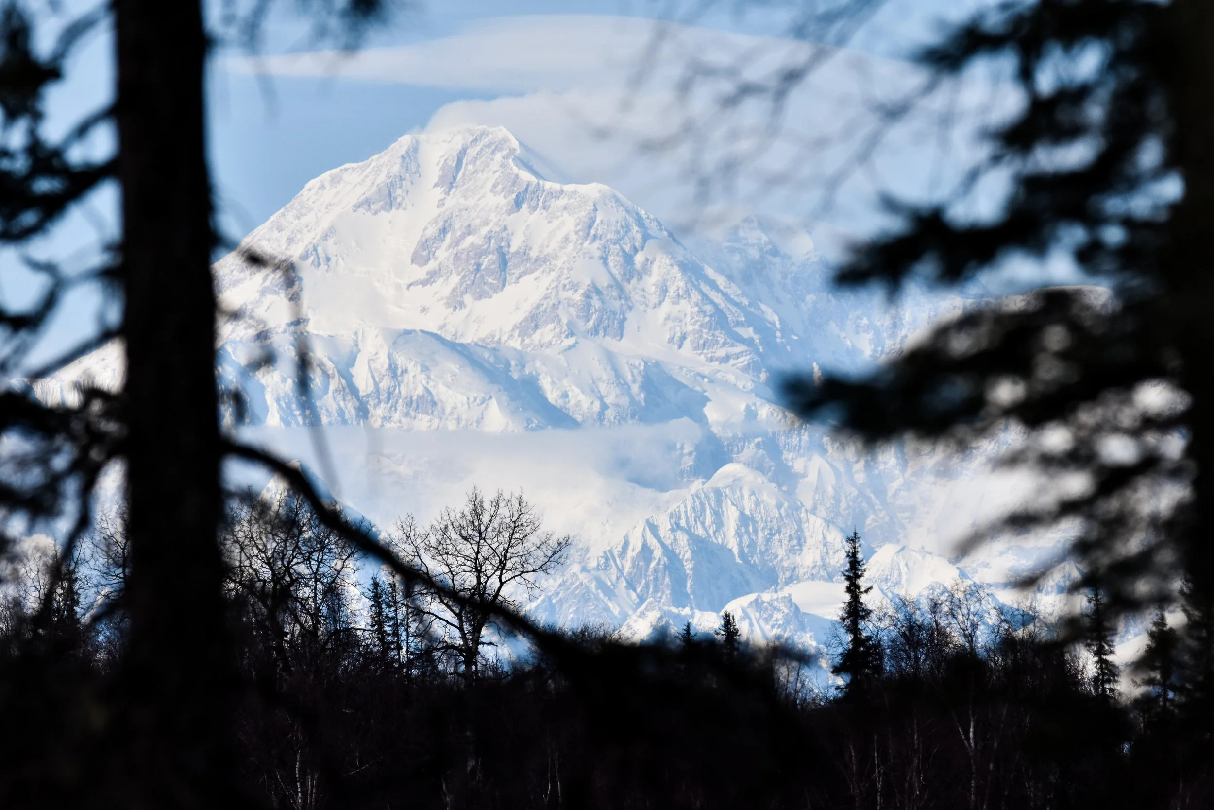Denali Mountain.jpg