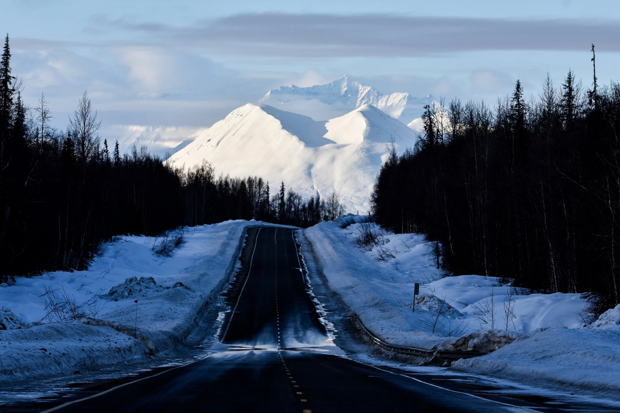 Denali Road to.jpg
