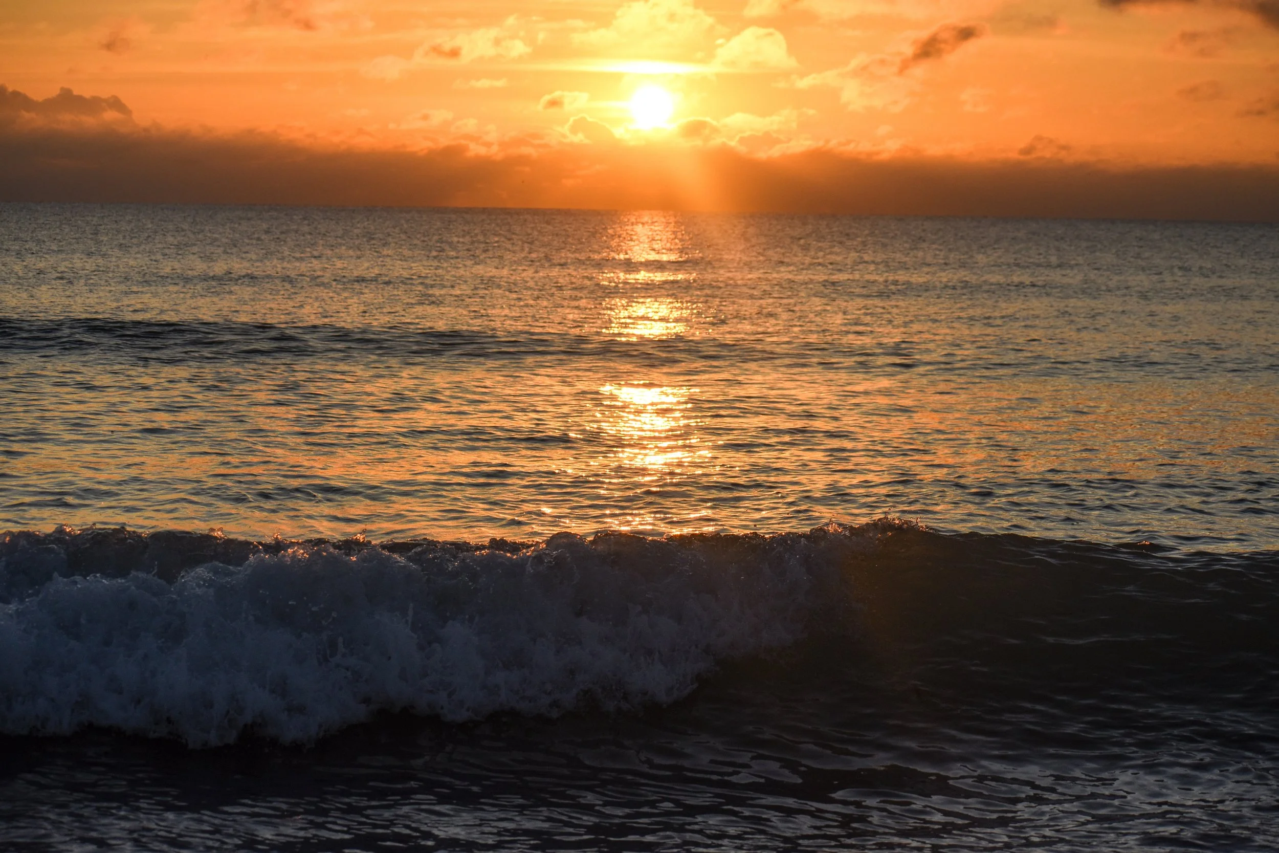 DSC_0776.jpg