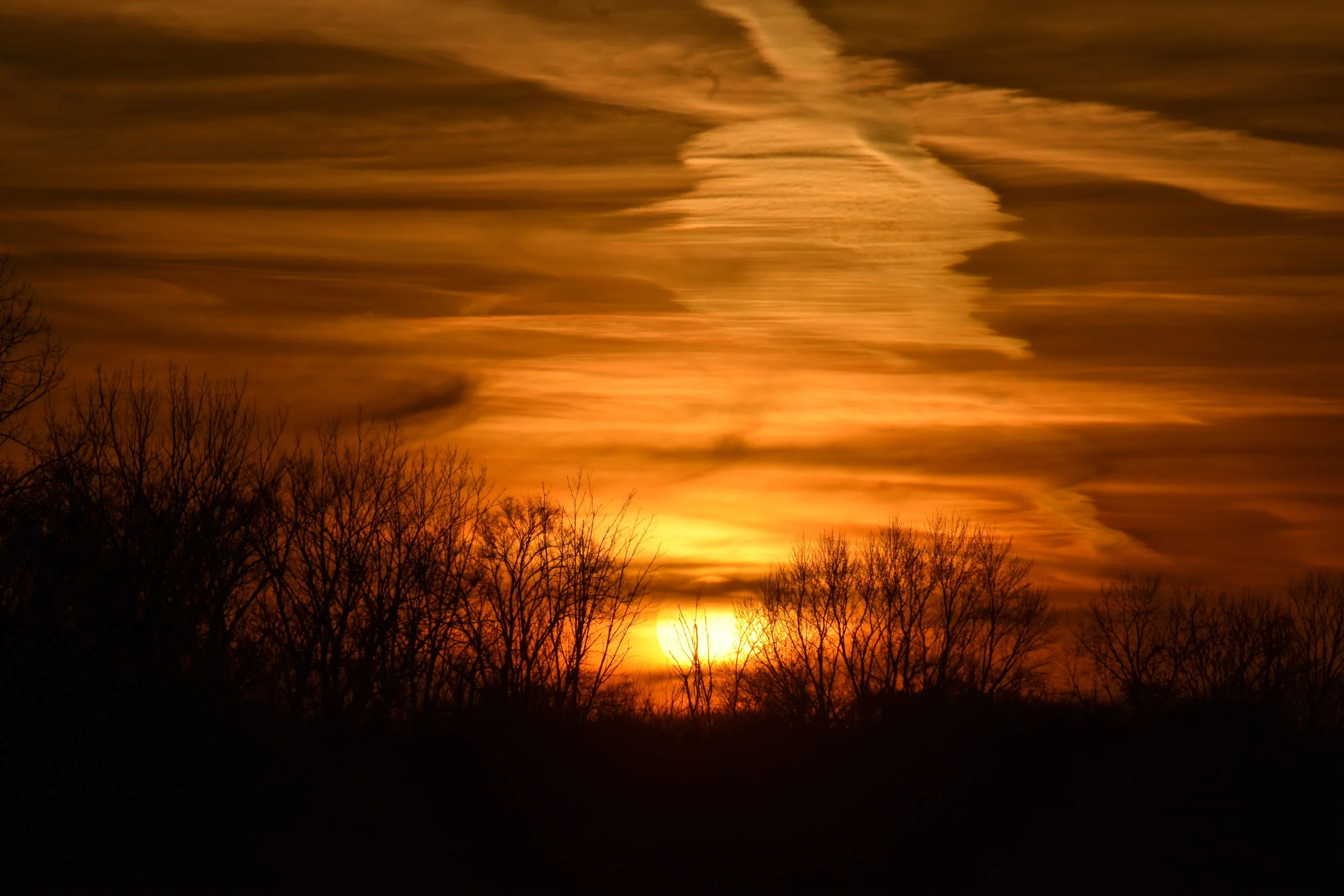 DSC_0933.jpg
