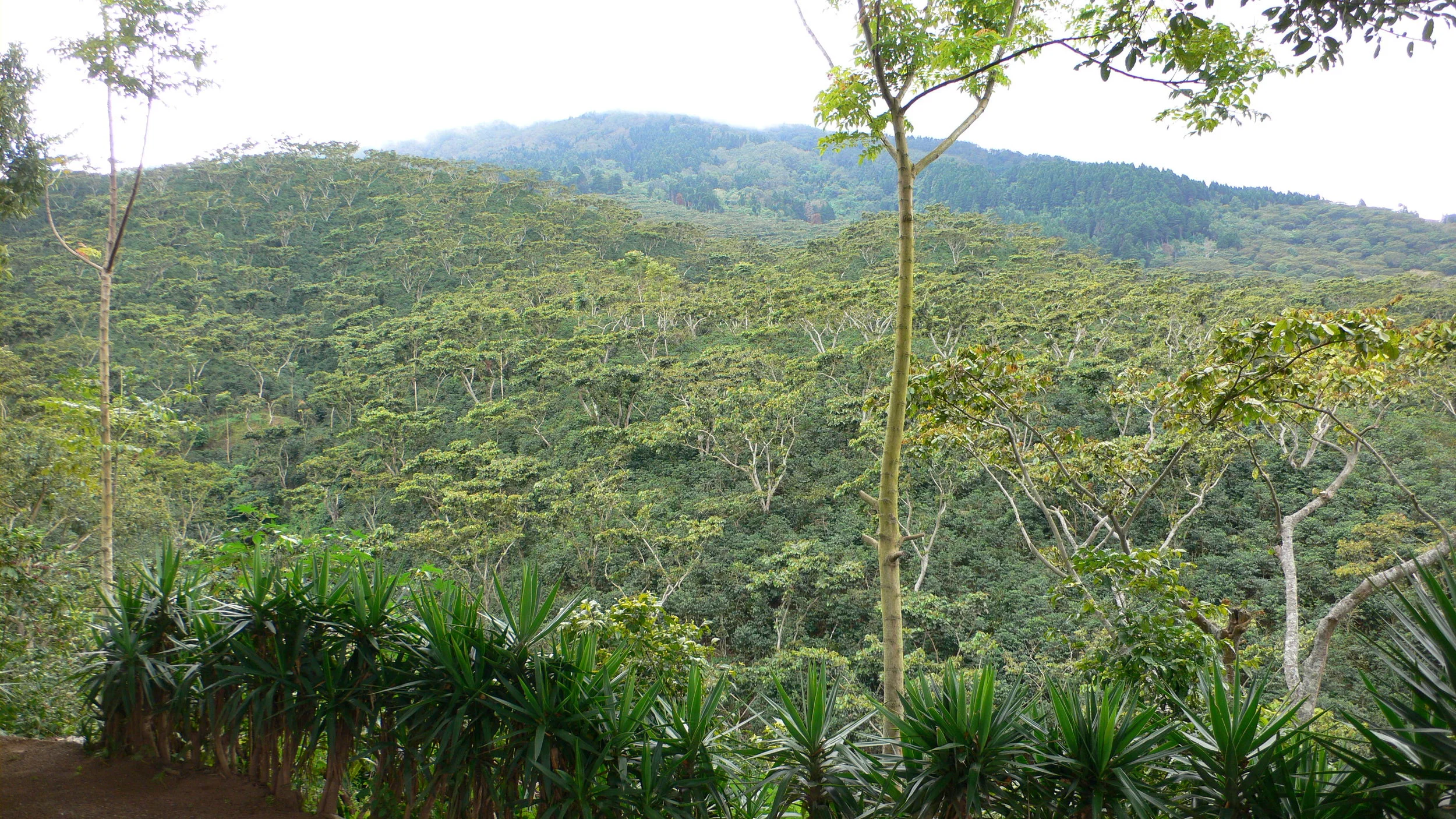 P1010832.JPG