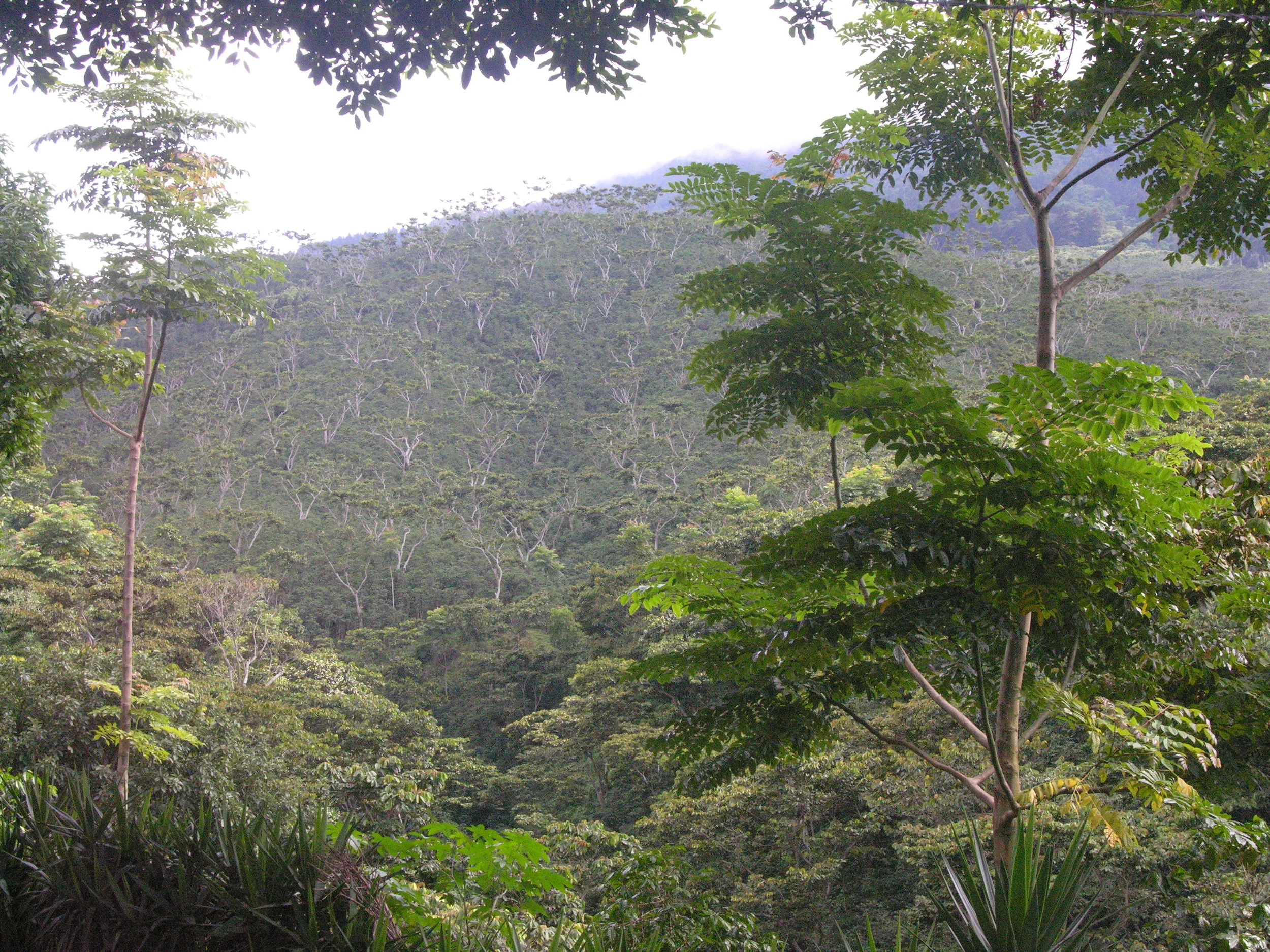 DSCN2701.JPG
