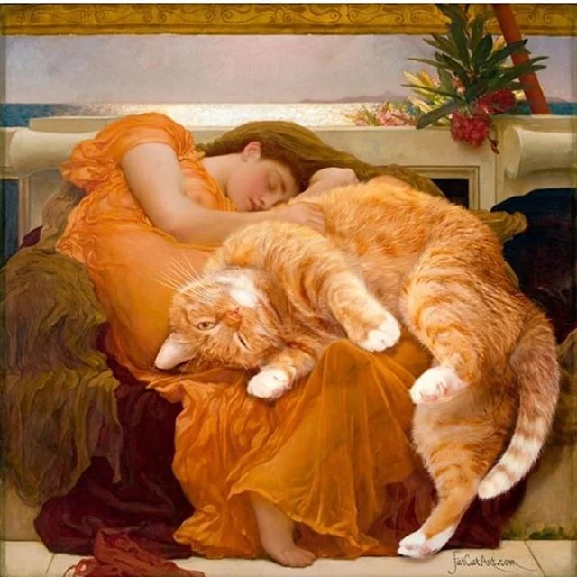 Today&rsquo;s plan brought to you by @fatcatart #caturday #heat