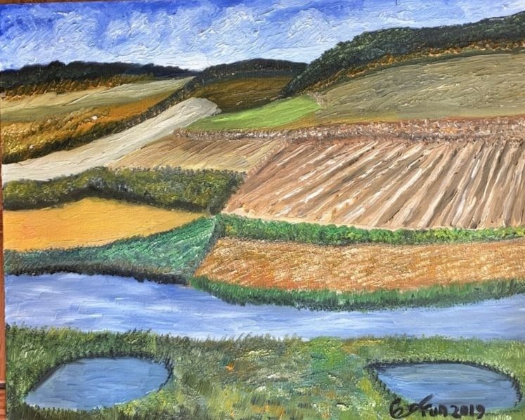 146_campolabrado.jpg
