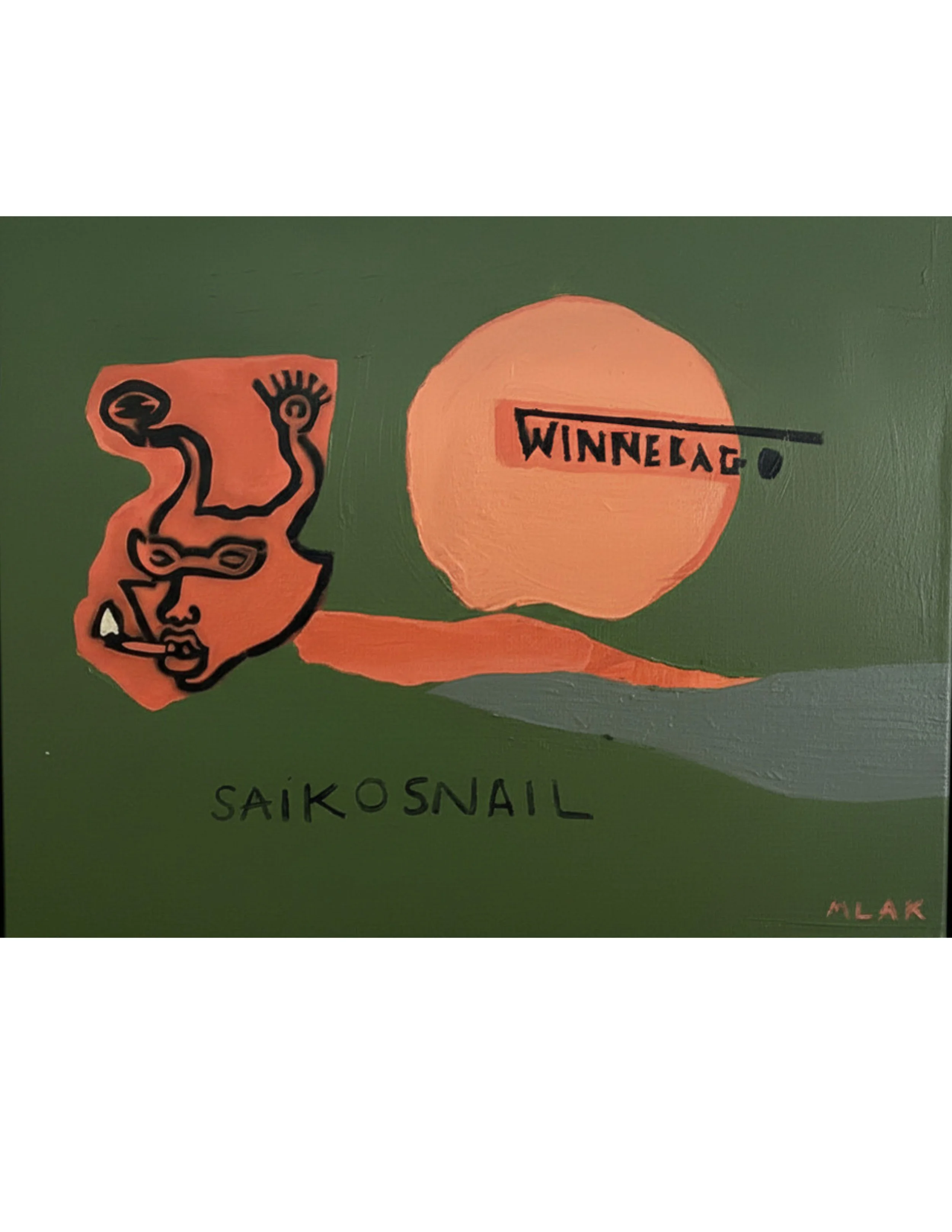 Winnebago / $300