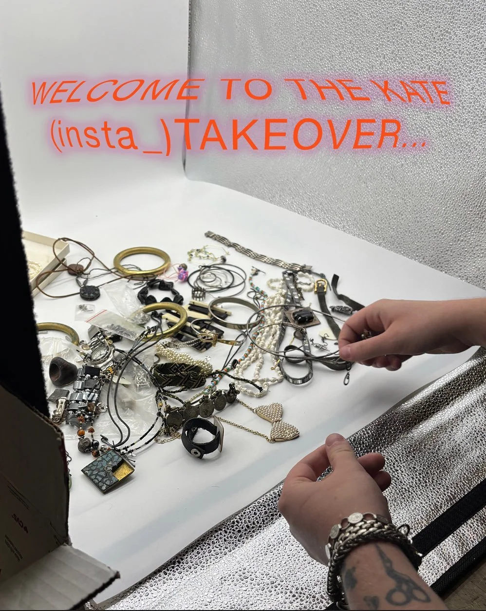 Hi! My name is Kate Snodgress and I am currently an undergraduate student research fellow/research intern for RJM. This month I will be introducing myself, what I&rsquo;ve been working on, and what&rsquo;s brought me to TAKEOVER the RJM instagram. 

