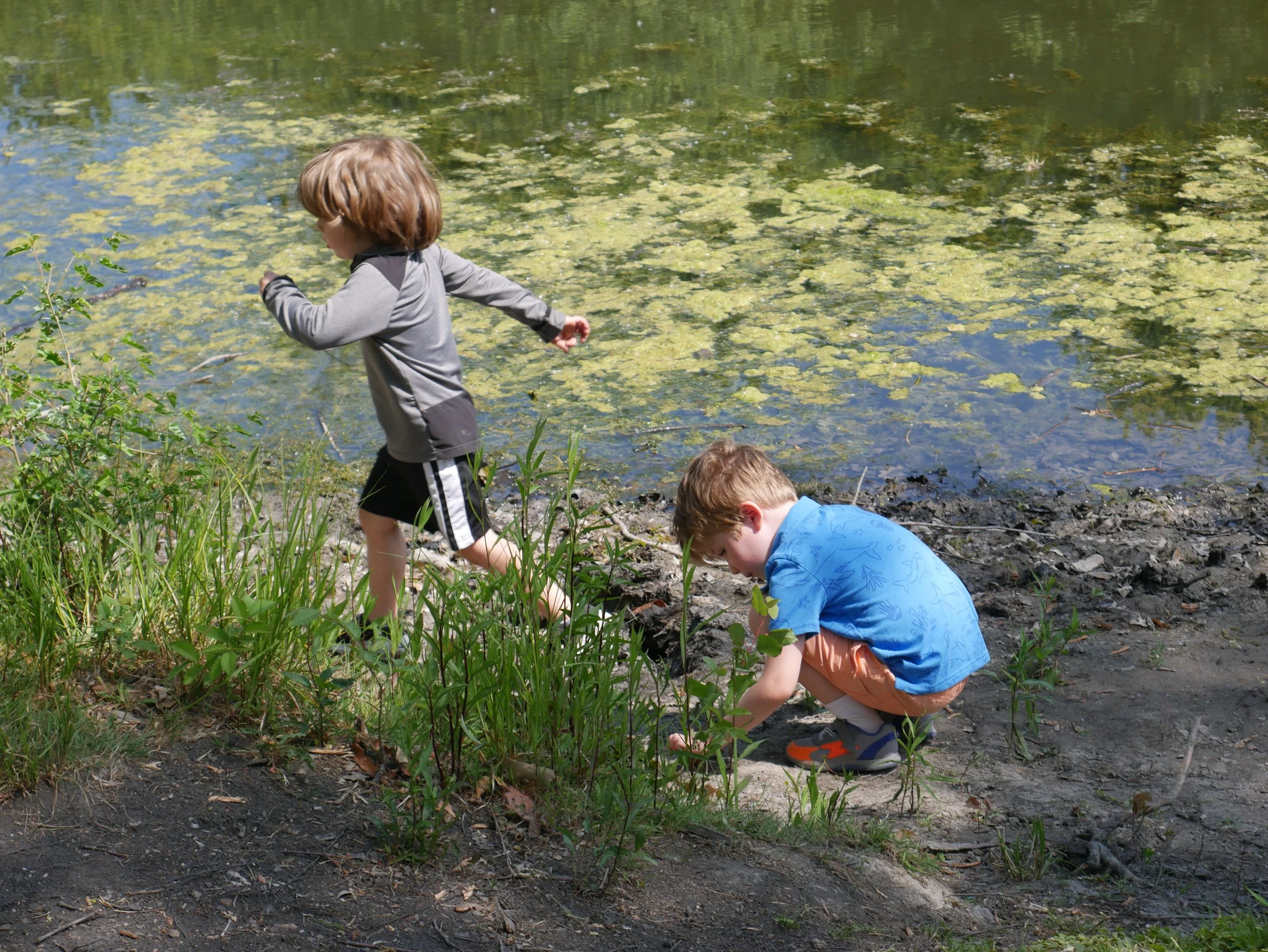 Let's Play! Summer Nature Exploration